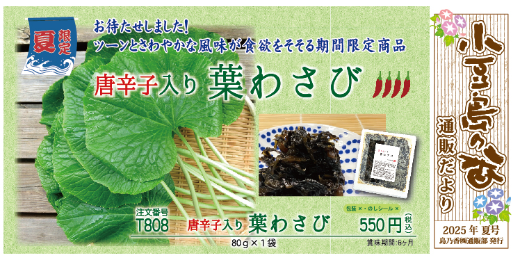d1_2025_06.jpeg